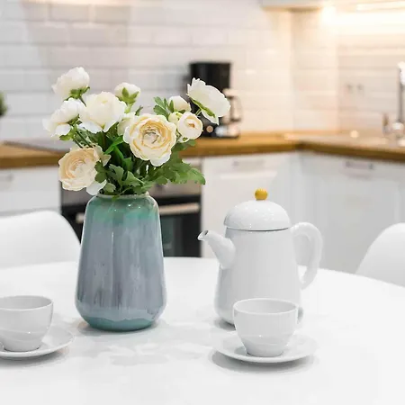 Native Starowislna 33a Deluxe 크라쿠프